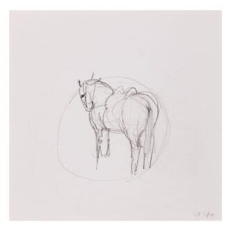 Circus pony, 2019