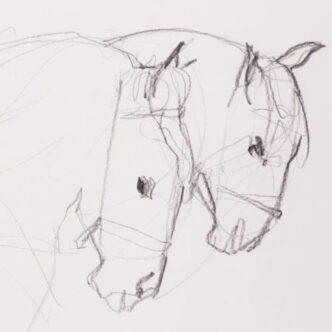 The Donnerts Horses, 2019